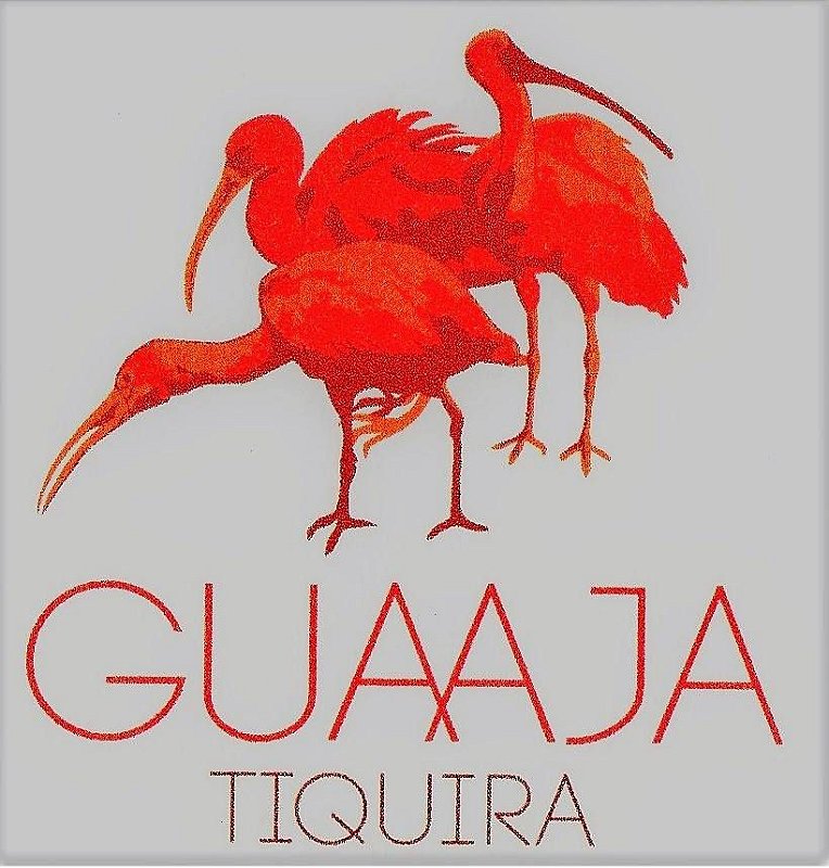 Tiquira Guaaja 750ml
